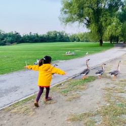 -萌宠亲子动物乐园(槐房万达店)