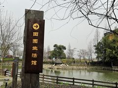 -田园东方蜜桃村的田野营地