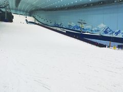 -哈尔滨热雪奇迹