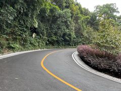 -广州市帽峰山景区