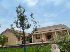 -盐城丹顶鹤湿地生态旅游区