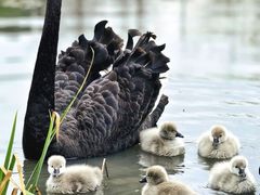 -昆山城市生态森林公园