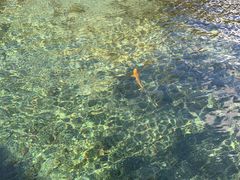 -玉水寨丽江源餐厅