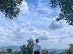 -铁山坪森林公园