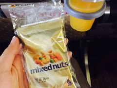 -新加坡航空公司(ION)