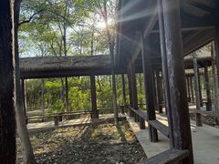 -西青郊野公园