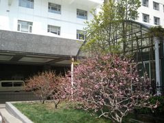-北京医院