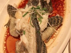 -渔傅·霞浦滩涂海鲜(建平店)