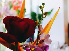 -蝶舍·MAISON PAPILLON