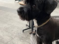 -宠颐生猫科·内科皮肤科(西平世纪城店)