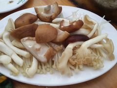 金针菇-15年老字号鑫鑫猪肚鸡·椰子鸡海南火锅(兴隆华侨农场店)