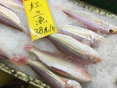 -鸿达渔港
