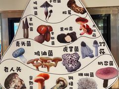 -云采云南菜(中山北路店)