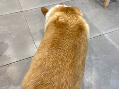-阿木舂记·特色小吃(平江路店)