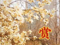 -睦南公园