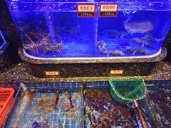 -金悦轩海鲜酒家(南宁店)