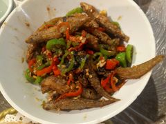 -壹盏灯(惠农店)