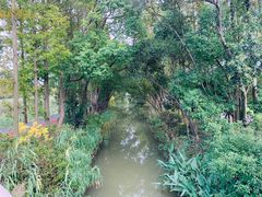 -上海长兴岛郊野公园