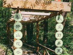 -大岭沟猕猴桃谷风景区