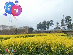 -白鹭湾湿地公园