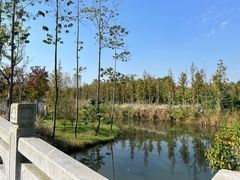 -溱湖国家湿地公园