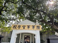 -长洲岛