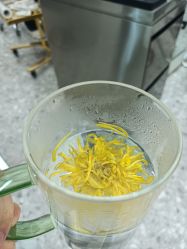 -蒋伟时尚造型