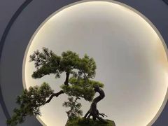 -席仁堂推拿按摩脊柱调理(世纪科贸大厦店)