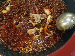 -烧哥美蛙肥肠鱼火锅·十五年社区店