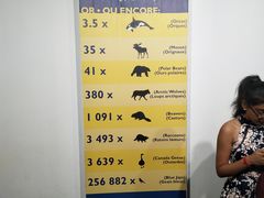 -加拿大国家电视塔
