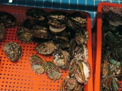 -阳光岛·海鲜盛宴(银泰中心in99店)