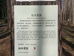 -黄海国家森林公园