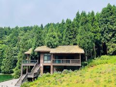 -武陵山森林公园
