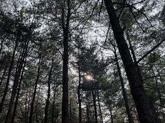 -沈阳植物园