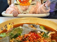 -芙蓉树下冒菜·麻辣烫(农院店)