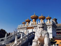 -上海东林寺(金山区)