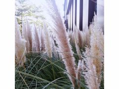 -星巴克(深圳前海企业公馆店)