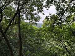-凤栖山