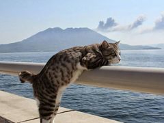 -赛百味(仙林金鹰店)