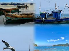 -海源公园