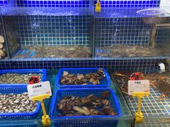 -必点海鲜·鲅鱼水饺(鞍山西道店)