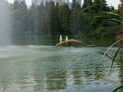 景点-广州珠江公园