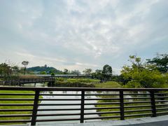 -王借岗森林公园