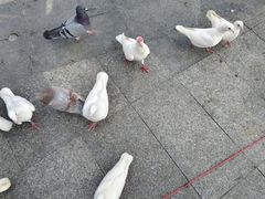 -万达广场(广州番禺店)