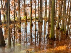-东湖落雁景区