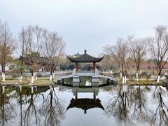 -武汉园博园(武汉自然博物馆)