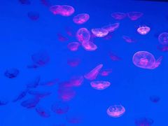 -沈阳海洋探索中心