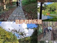 -四明山国家森林公园