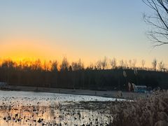 -鸿喜足健康足道采耳艾灸(南纬路店)