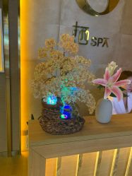 -栖SPA·ONDA ·海菲秀·皑皑科技美肤中心